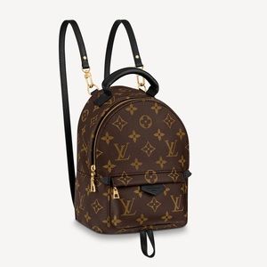 Louis Vuitton small backpack